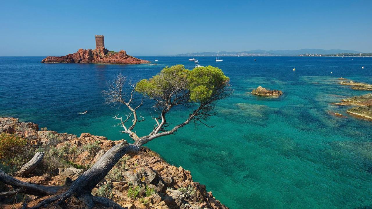 Appartement Zen A Frejus Avec Jardin, Piscine, Tennis, Proche Mer 外观 照片